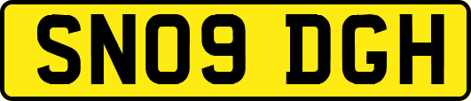 SN09DGH
