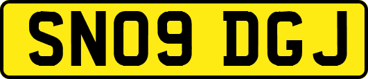 SN09DGJ