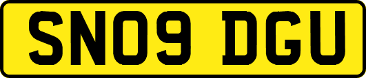 SN09DGU