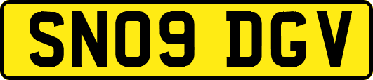 SN09DGV