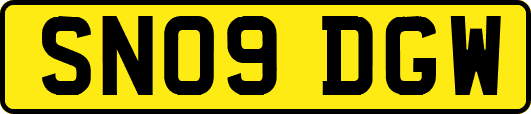 SN09DGW