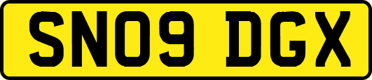 SN09DGX