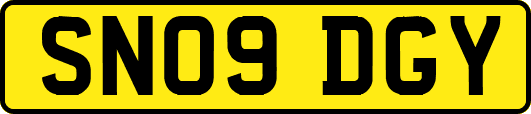 SN09DGY