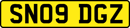 SN09DGZ
