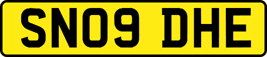 SN09DHE