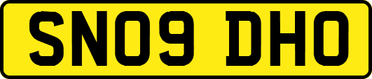 SN09DHO