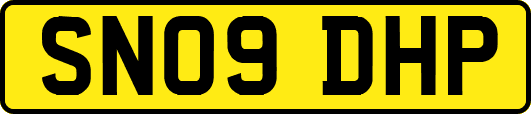 SN09DHP
