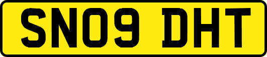 SN09DHT