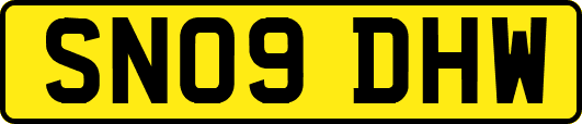 SN09DHW