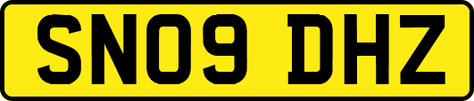 SN09DHZ