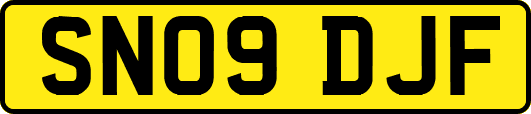 SN09DJF