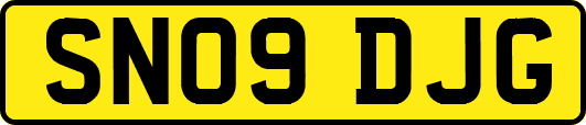 SN09DJG