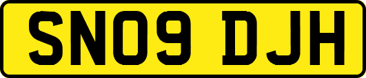 SN09DJH