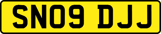SN09DJJ