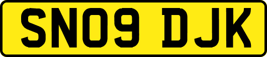 SN09DJK