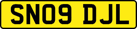 SN09DJL