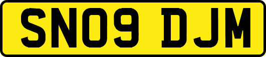 SN09DJM