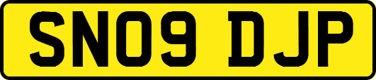 SN09DJP