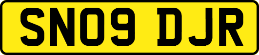 SN09DJR