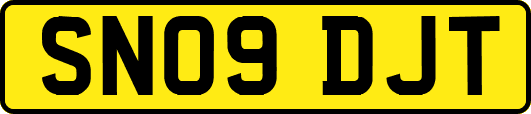 SN09DJT