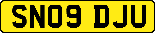 SN09DJU