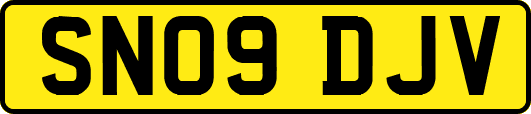 SN09DJV