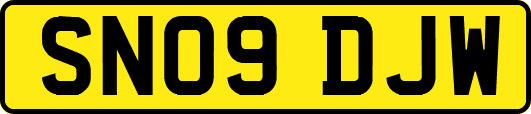 SN09DJW