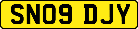 SN09DJY
