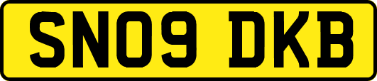 SN09DKB