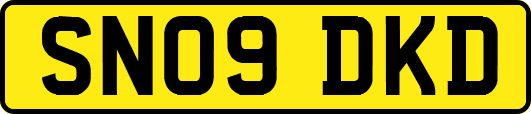 SN09DKD