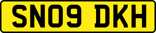 SN09DKH