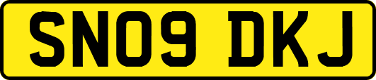 SN09DKJ