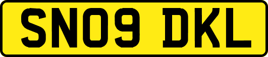 SN09DKL