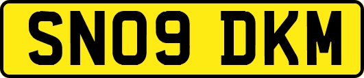 SN09DKM