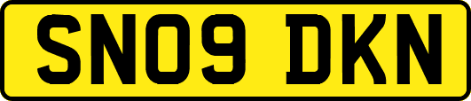 SN09DKN