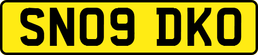 SN09DKO
