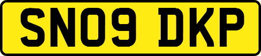 SN09DKP