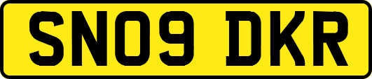 SN09DKR
