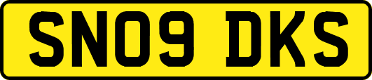 SN09DKS