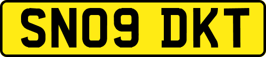 SN09DKT