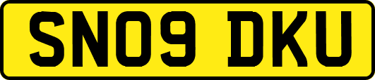 SN09DKU