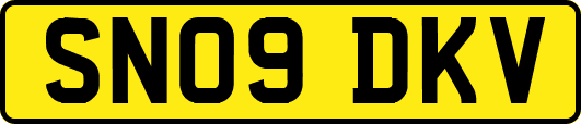 SN09DKV