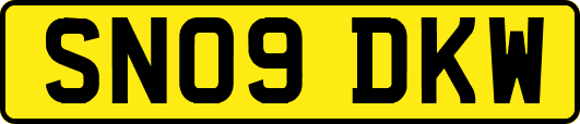 SN09DKW