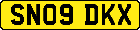 SN09DKX