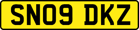 SN09DKZ