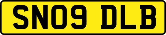SN09DLB