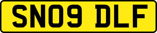 SN09DLF