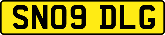 SN09DLG