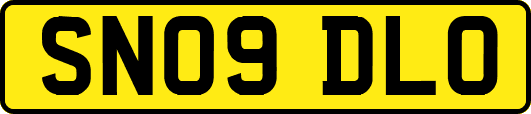 SN09DLO