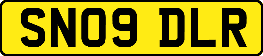 SN09DLR